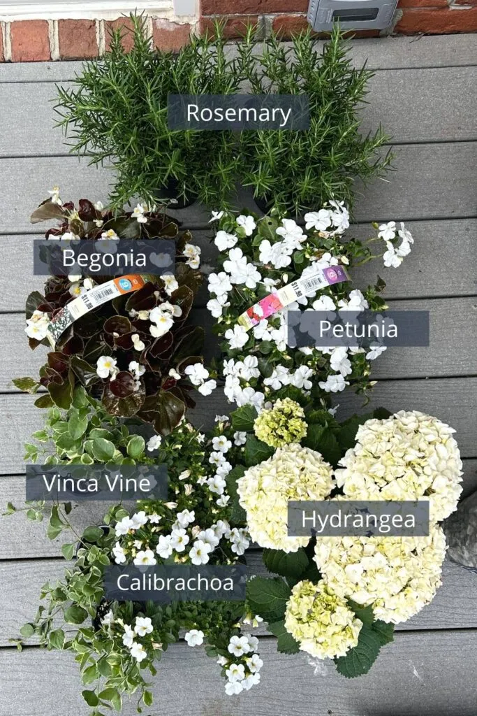 Neutral planter arrangement
