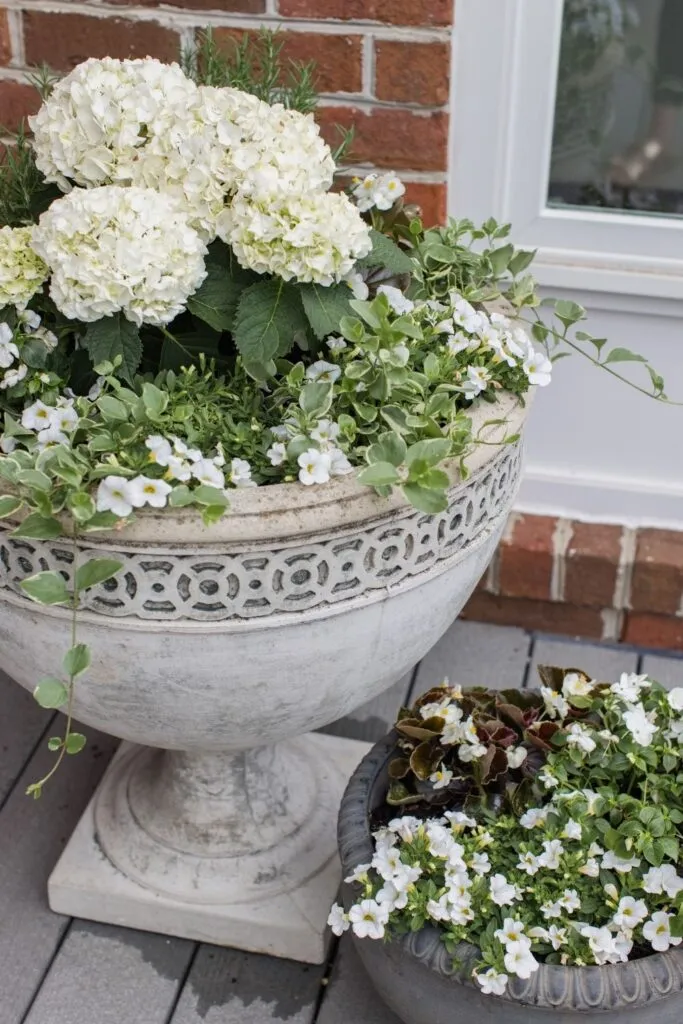 Classic Planter Idea