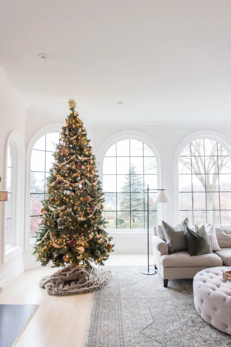 Christmas Family room-0904