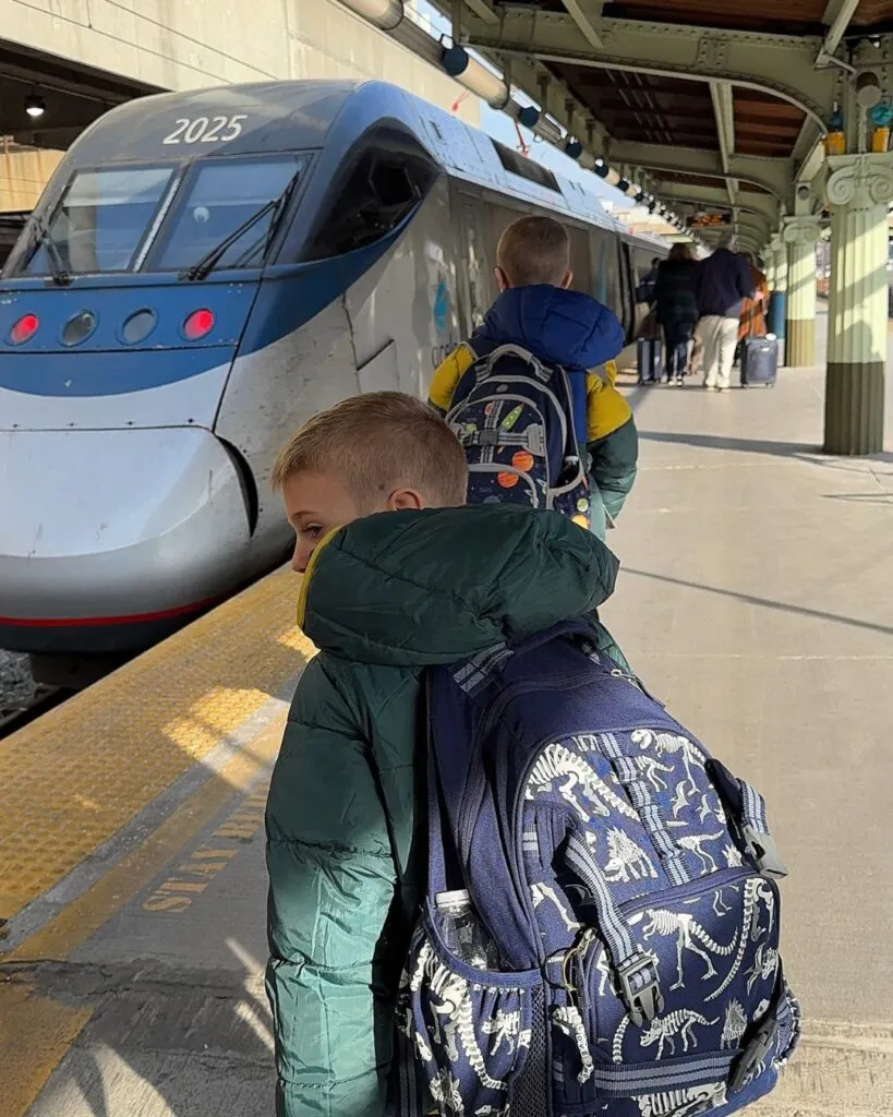 Tristan and Charlie boarding the Accela Train to New York