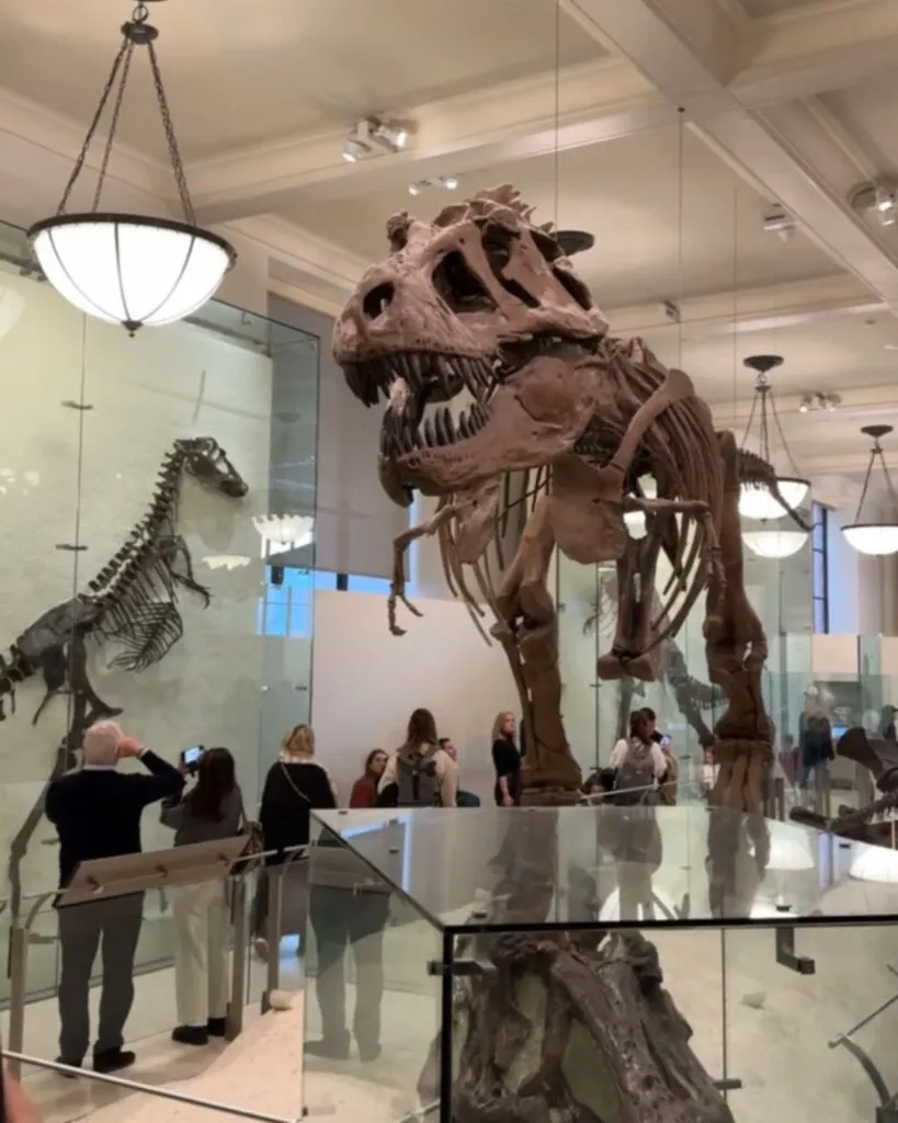 The dinosaur floor (4th) was our kids favorite