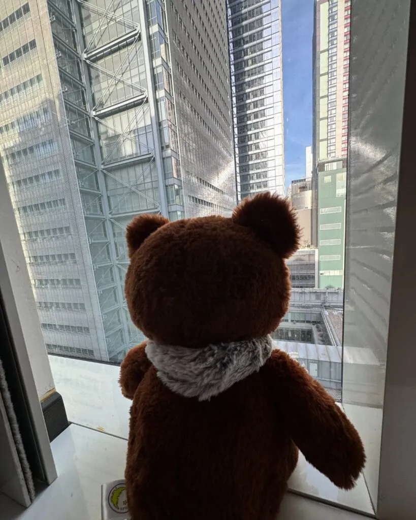 Brown Bear enjoying the view out of our 15th floor hotel room at the AC Hotel Times Square